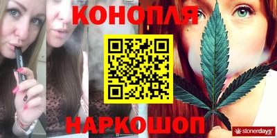 стаф Заводоуковск