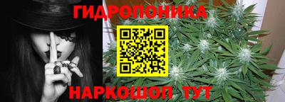 стаф Заводоуковск