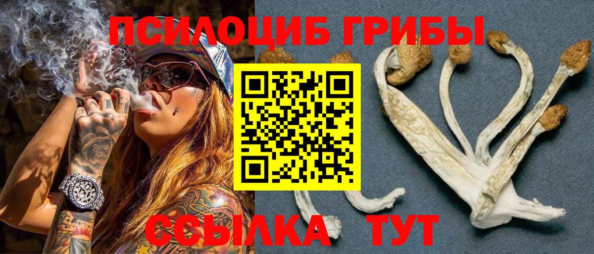 Галлюциногенные грибы Psilocybe  Вход с VPN  Кушва 